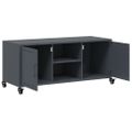 vidaXL TV skrinka antracit 100,5x39x43,5 cm oceľ
