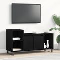 vidaXL Zostava TV skriniek 100 x 35 x 55 cm Čierny dub
