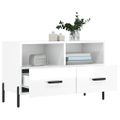 vidaXL TV skrinka lesklá biela 80x36x50 cm spracované drevo