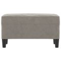 vidaXL Lavica bledosivá 70x35x41 cm zamat