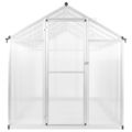 vidaXL Skleník, hliník 302x190x195 cm 11,19 m³