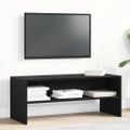 VidaXL TV skrinka Dub čierny 100x40x40 cm Drevo