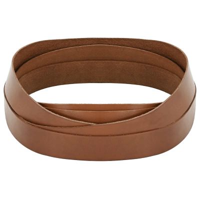 vidaXL Kožený remienok Hnedá 500 x 2,5 cm Koža