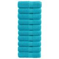 vidaXL Prémiové umývacie utierky SOLUND 10 ks tyrkysové 30x30 cm 600 g/m²