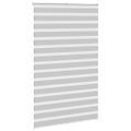 vidaXL Zebra roleta svetlosivá 140x230cm šírka látky 135,9cm polyester
