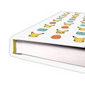 Zápisník Pokémon - Starters