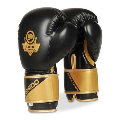 Boxerské rukavice DBX BUSHIDO B-2v10 14 oz