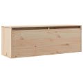 vidaXL Nástenná skriňa 100x30x35 cm masívna borovica