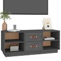 vidaXL TV skrinka sivá 100x34x40 cm borovicový masív