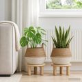 vidaXL Kvetináč s uchami 2 ks Biela Ø 45 x 36 cm 100% Morská tráva