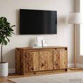 vidaXL TV skrinka 100 x 34 x 50 cm Staré drevo Kompozitné drevo