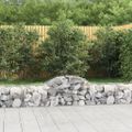 vidaXL Oblúkový gabionový kôš 200x50x40/60 cm pozinkované železo