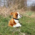 Plyšový pes boxer s obojkom 27 cm ECO-FRIENDLY