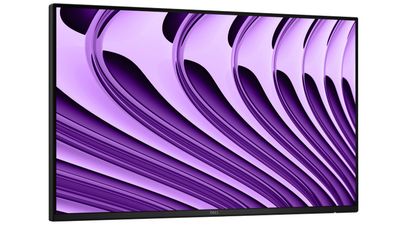 Dell Pro P/P2426HE/bez stojana/23,8''/IPS/FHD/120Hz/5ms/Sivá/3R