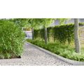 vidaxl Okraj Trávnika 1000 x 20 x 0,03 cm Pozinkovaná oceľ Strieborná