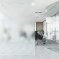 vidaXL Statická fólia na okná Frosted šedá 90 x 500 cm PVC