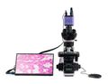 Biologický digitálny mikroskop MAGUS Bio D240T LCD