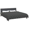 vidaXL Zimný prehoz 200 x 240 cm 450 gsm Mikrovlákno (100% polyester)