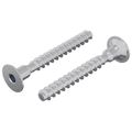vidaXL Skrutka 2 ks Zinkovaný 5 x 40 mm Železo