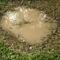 AK Interactive: Puddles