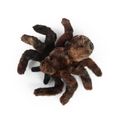 Plyšový pavúk 20 cm ECO-FRIENDLY PLUSH WORLD