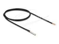 Delock Temperature Sensor Cable with 2 x