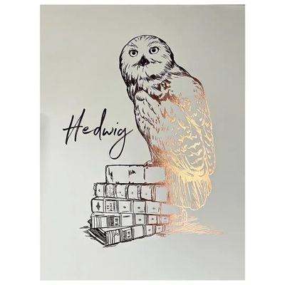 Obraz Harry Potter - Hedvika