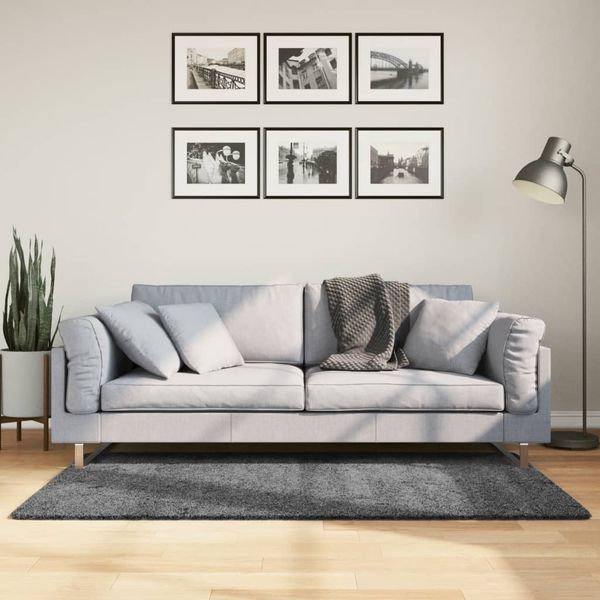 vidaXL Koberec OVIEDO, krátky vlas, antracitový 120x170 cm