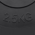 vidaXL Závažia na činku 6 ks 30 kg cement