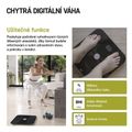 Digitálna osobná váha GoSmart EMOS EV112 (BMI, 180 kg, čierna)