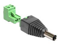 Napájací adaptér - svorkovnica s 2 pinmi (M) na DC jack 2,1 mm (M)