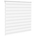 vidaXL Zebra roleta biela 145x150 cm šírka látky 140,9cm polyester