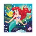 VESELÉ PRINCEZNÉ 3x55 Puzzle