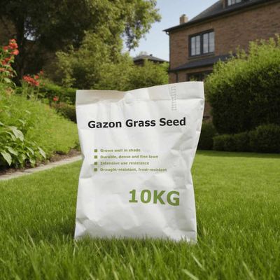 vidaXL Gazon Trávové semeno 10 kg