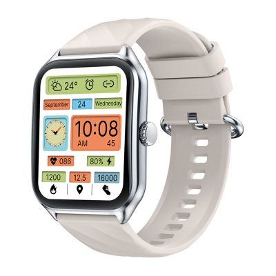 Inteligentné hodinky Zeblaze GTS 4 (strieborné)