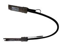 Kabel pro přímé připojení - QSFP do QSFP - 40 cm