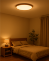 LED stropní 3CCT svítidlo TR-84S - 40W 4300lm ø50x2,7cm Trixline