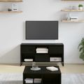 vidaXL TV skrinka 100 x 36 x 49,5 cm Čierny dub Kompozitné drevo