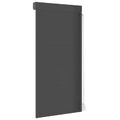 vidaXL Rolety Antracit 100 x 210 cm Hliník a polyuretán
