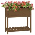 vidaXL Kvetináč s policou medovohnedý 82,5x34,5x81 cm masívna borovica