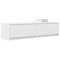 vidaXL TV skrinka 100 x 31 x 25,5 cm Biela Kompozitné drevo