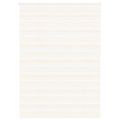 vidaXL Zebra roleta 165x230 cm šírka látky 160,9cm polyester