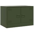 vidaXL TV skrinky 2 ks olivovozelené 67x39x44 cm oceľ