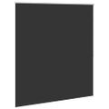 vidaXL Zatemňovacia roleta 164,4x175 cm, šírka látky 160 cm, čierna