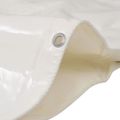 vidaXL Celta 650 g/m², 4x8 m, biela