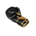 Boxerské rukavice DBX BUSHIDO B-2v10 10 oz