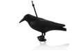 Havran plastová 3D maketa na plašenie vtákov RAVEN ISO 0783, 40cm Havran plastová 3D maketa na plašenie vtákov RAVEN ISO 0783, 40cm