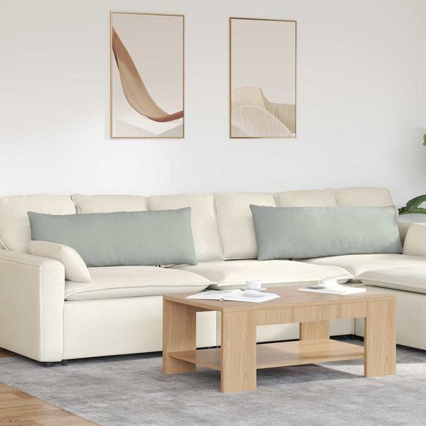 vidaXL Vankúše na pohovku 2 pcs Svetlosivá 120 x 40 cm