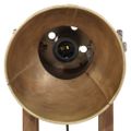 vidaXL Stolová lampa 25 W starožitná mosadzná 30x17x40 cm E27