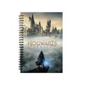Zápisník Hogwarts Legacy